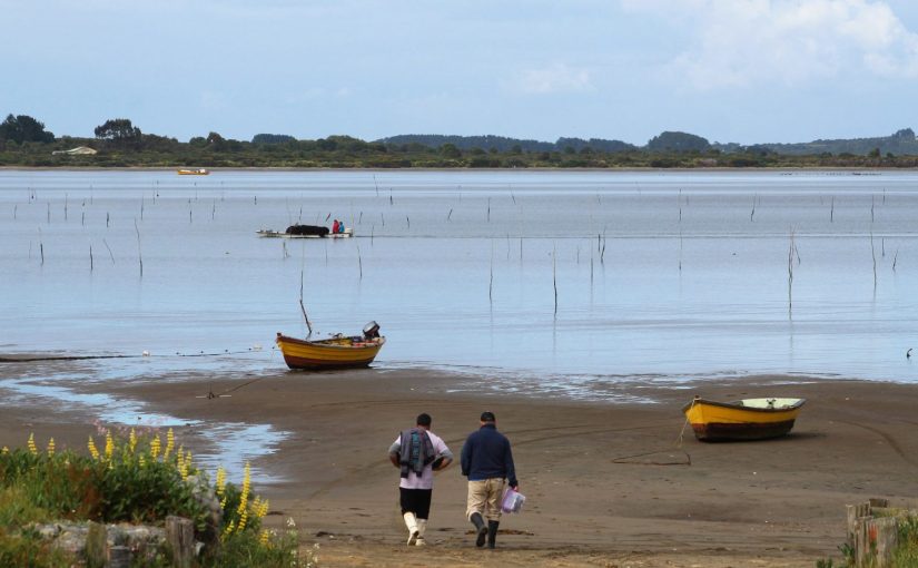 Difunden alcances de programa de apoyo a la pesca artesanal financiado por el Gobierno Regional